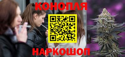 шишки Коммунар