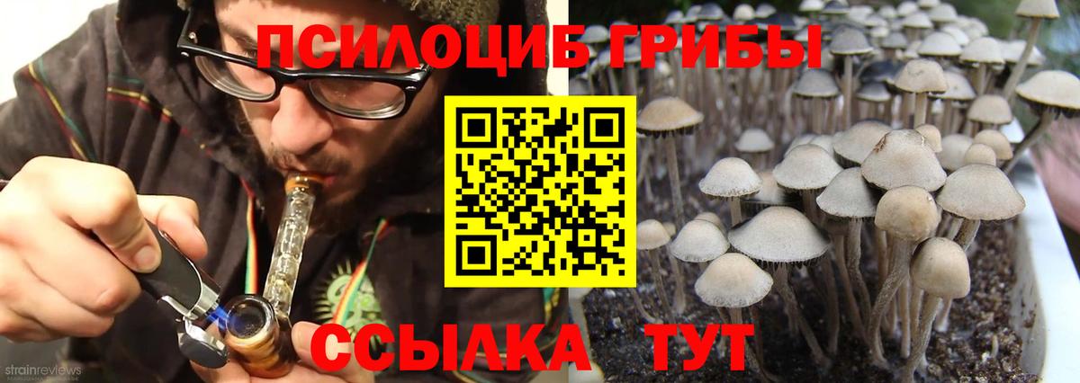 Псилоцибиновые грибы мухоморы  Вход с VPN  Псилоцибиновые грибы MAGIC MUSHROOMS  Коряжма 